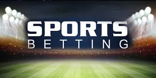Descubra o Mundo Empolgante de Apostas com 656bet 6 Descubra o Mundo Empolgante de Apostas com 656bet 6